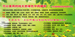 臻雅姿中药膜粉