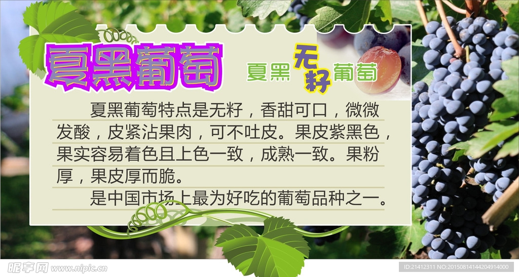 夏黑葡萄