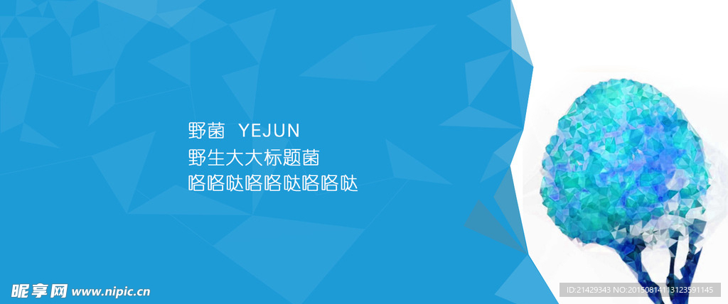 科技感BANNER