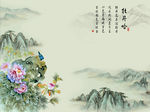 国色天香牡丹花
