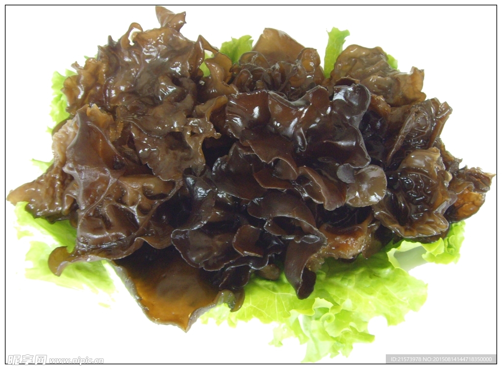 木耳