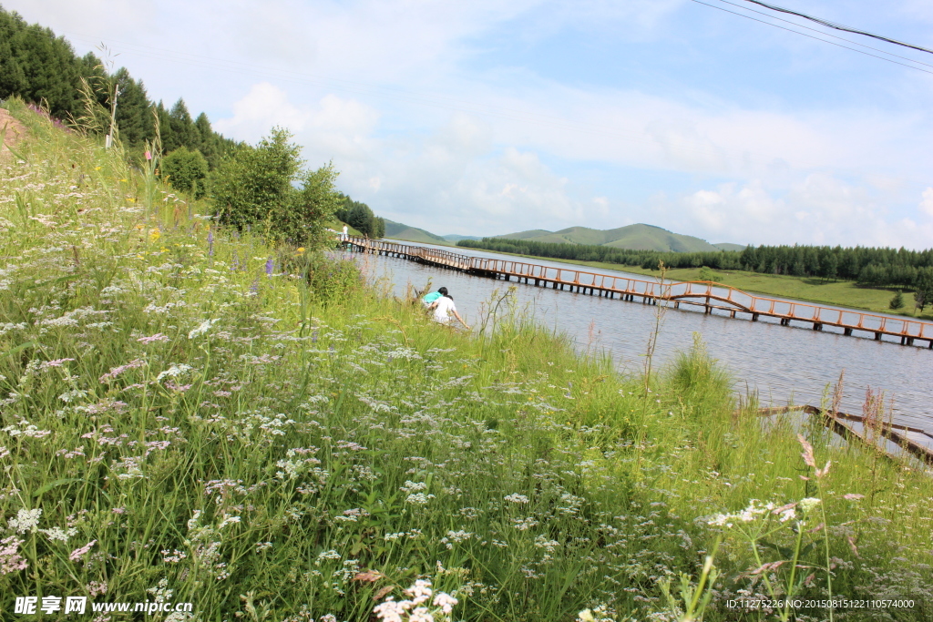 承德木兰围场风景