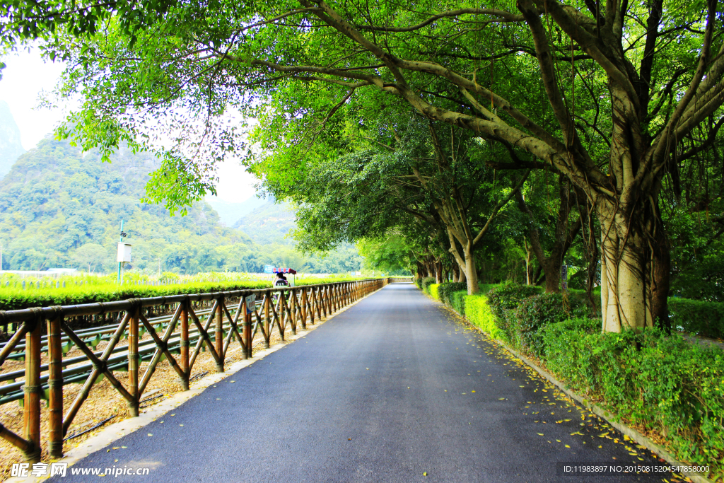 景区绿化道路