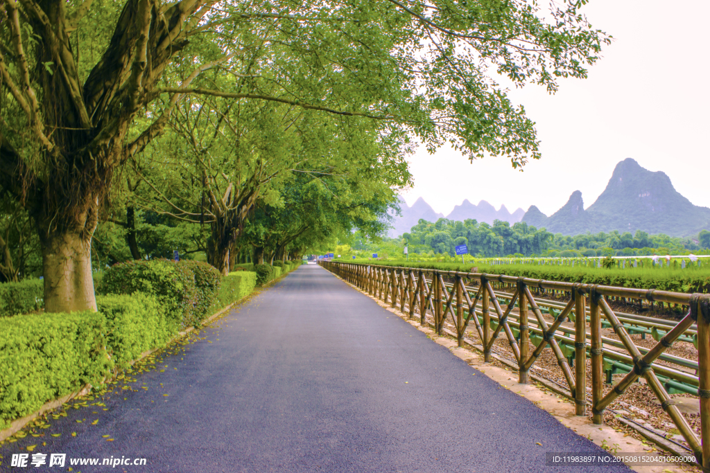 公园景区道路