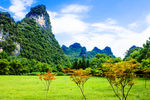 公园青山草地