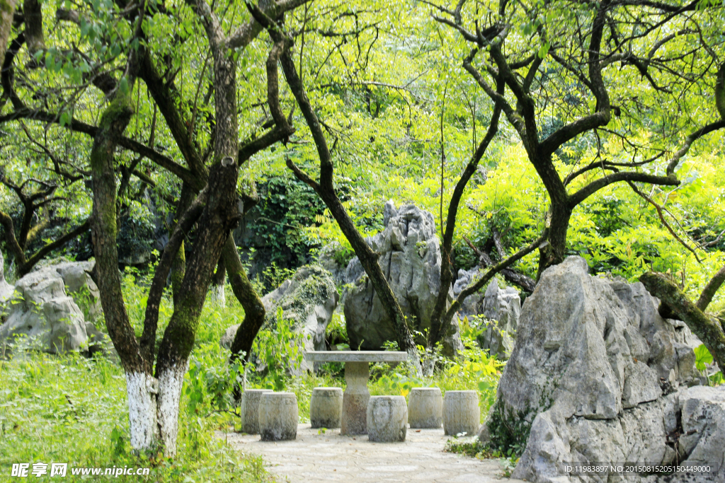 园林山石树木景观