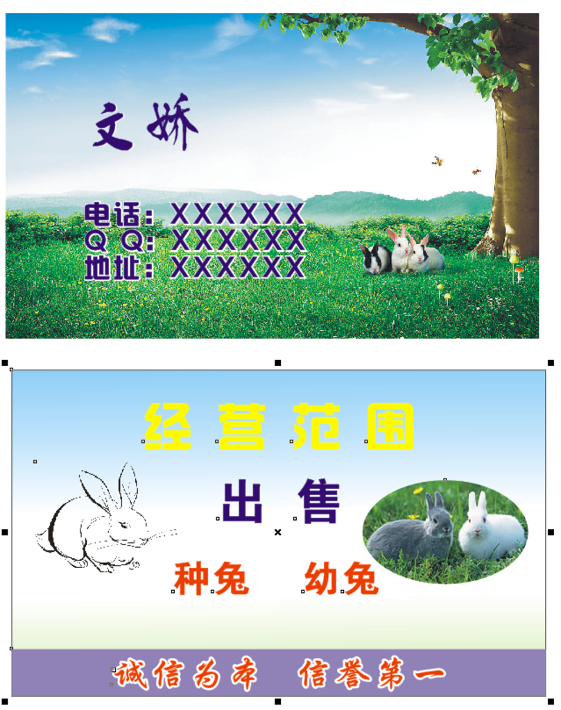 兔子名片