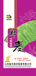 小麦种子