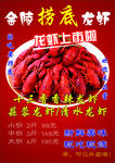 捞底龙虾