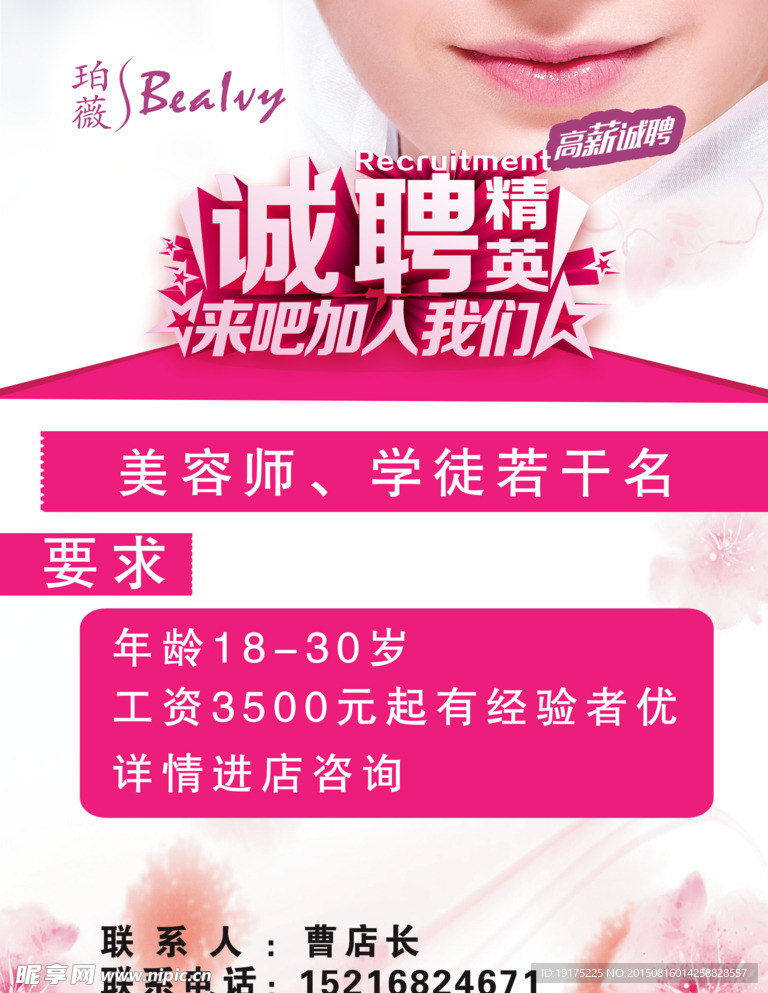 泊薇