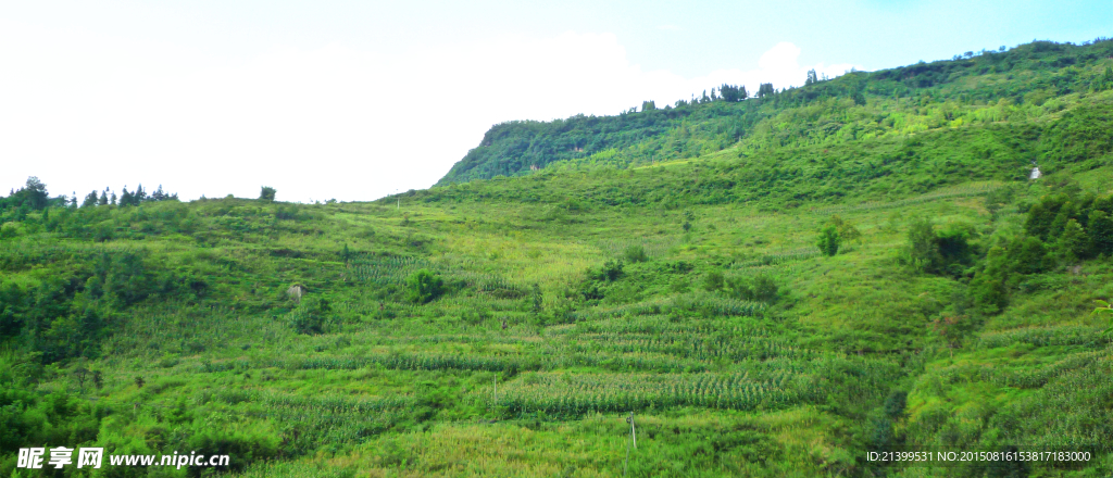 山地