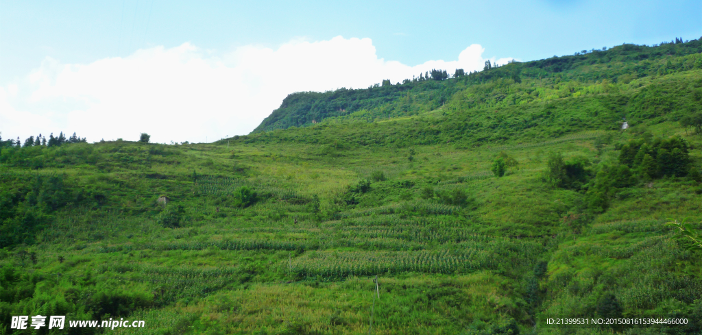 山地
