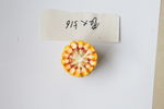 玉米种子