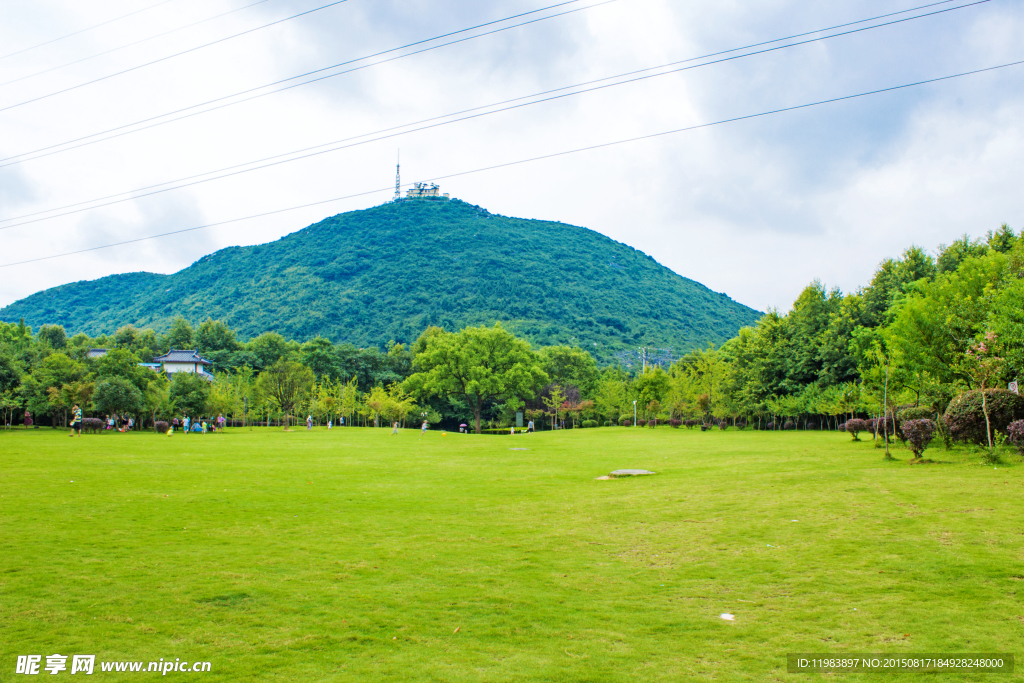 园林山下青草地