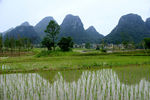 田野山水风光