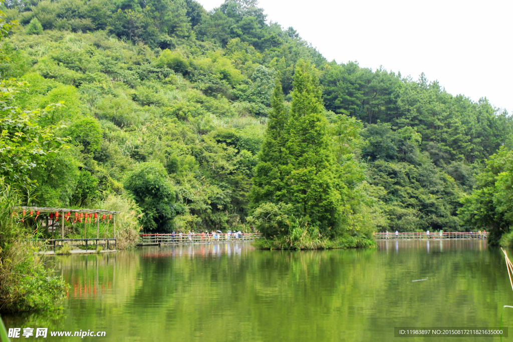 古东绿色山水