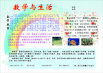 数学小报