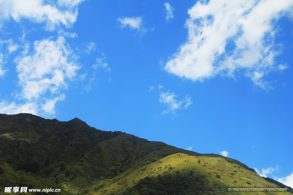 风景