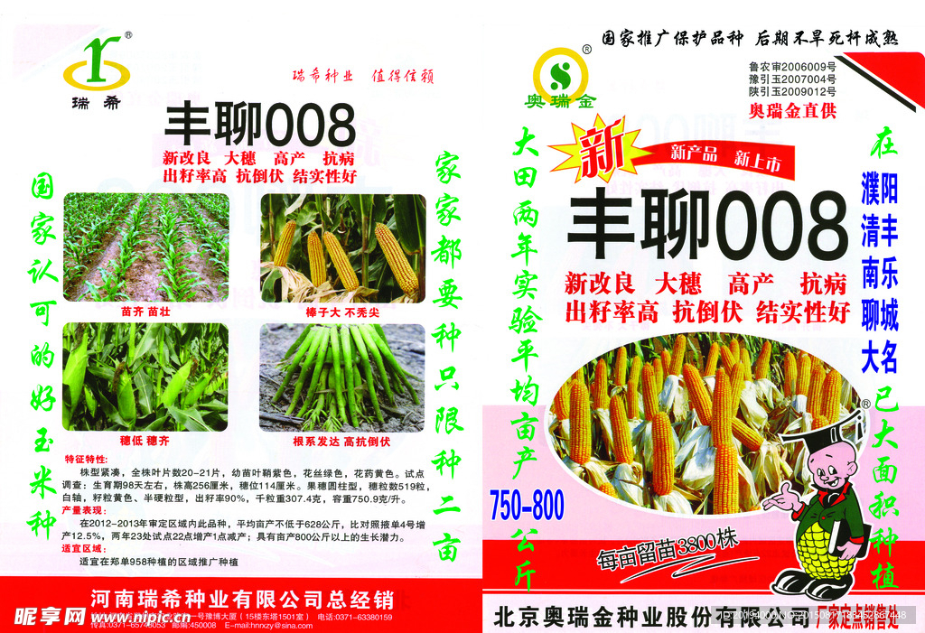 玉米种丰聊八号