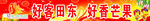 田东芒果百色