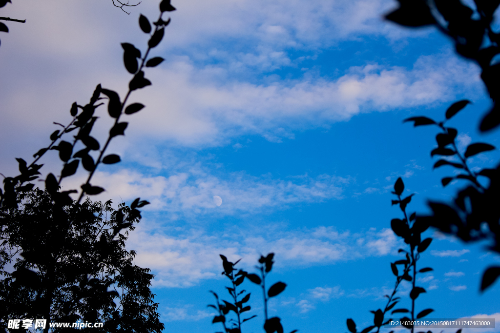 自然风光 天空