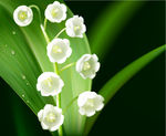 草叶花朵矢量