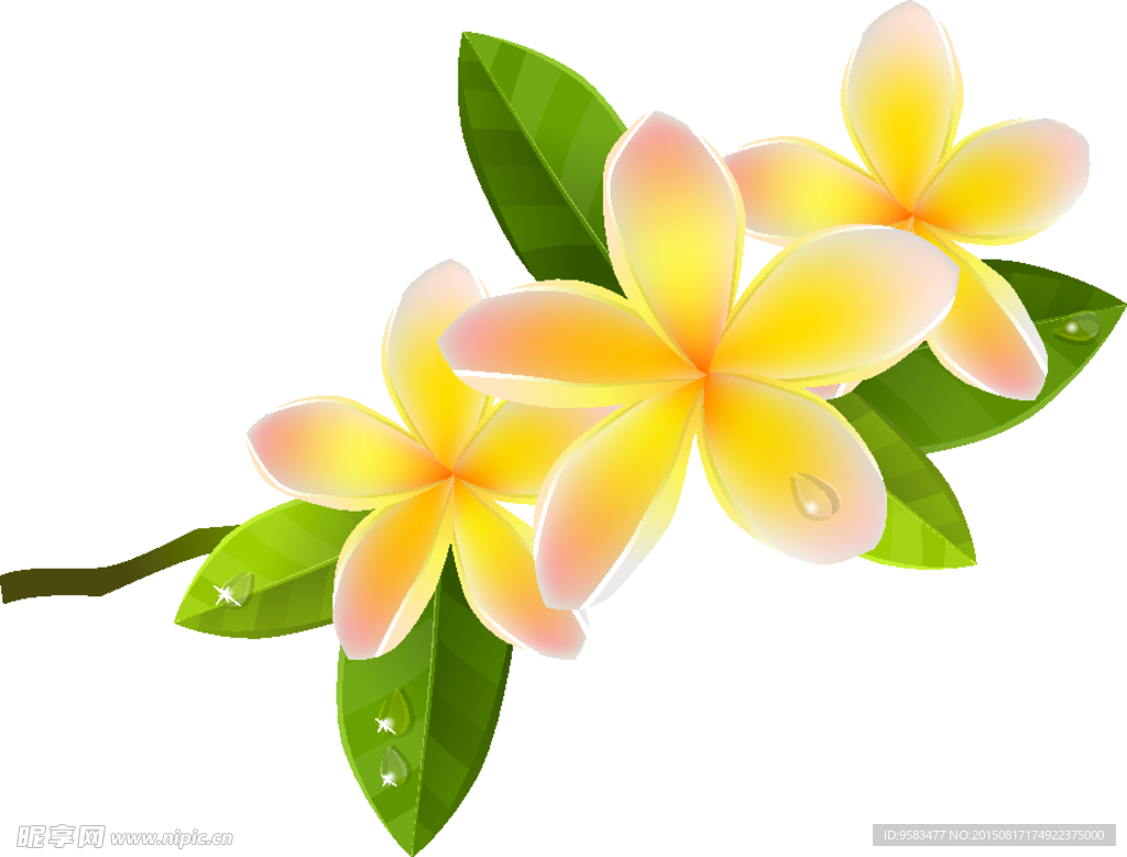 黄花花纹矢量