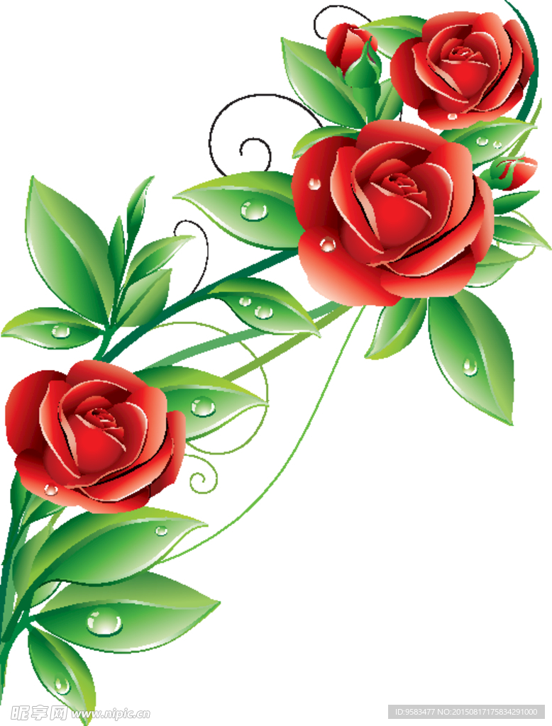红玫瑰花矢量