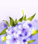 花朵花纹矢量