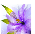 花朵点纹矢量