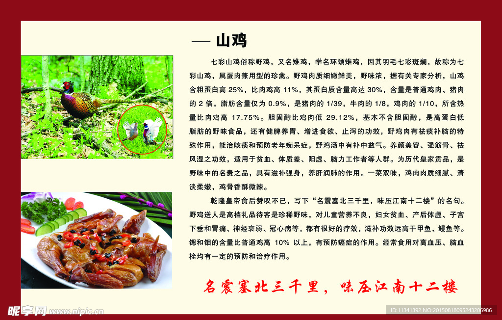 山鸡简介