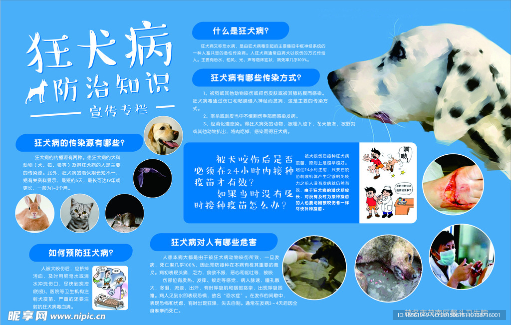 狂犬病防治知识