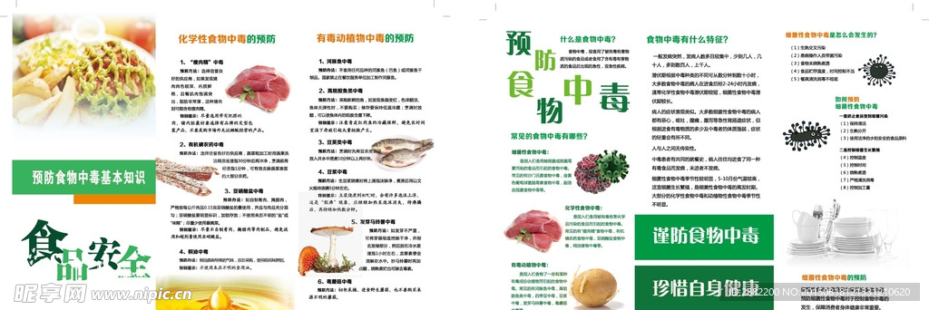 食物中毒 折页