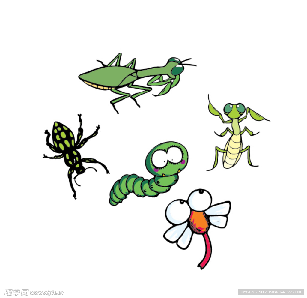 昆虫插画