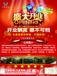 开业传单会所酒店