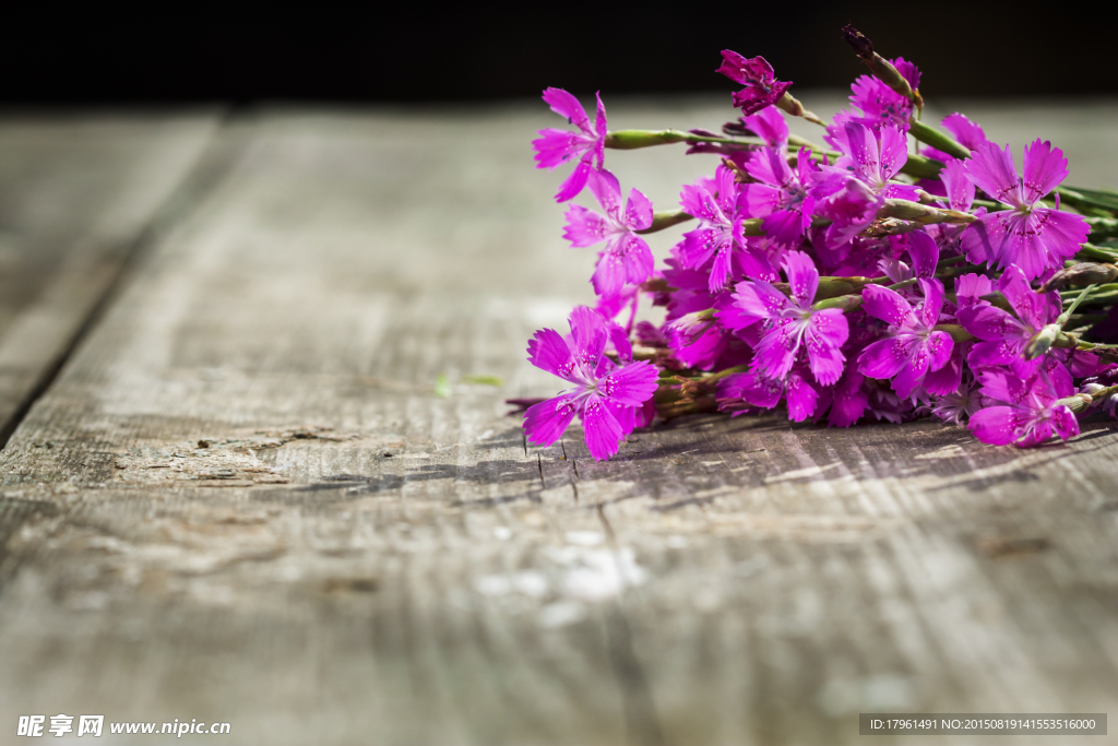 唯美丁香花