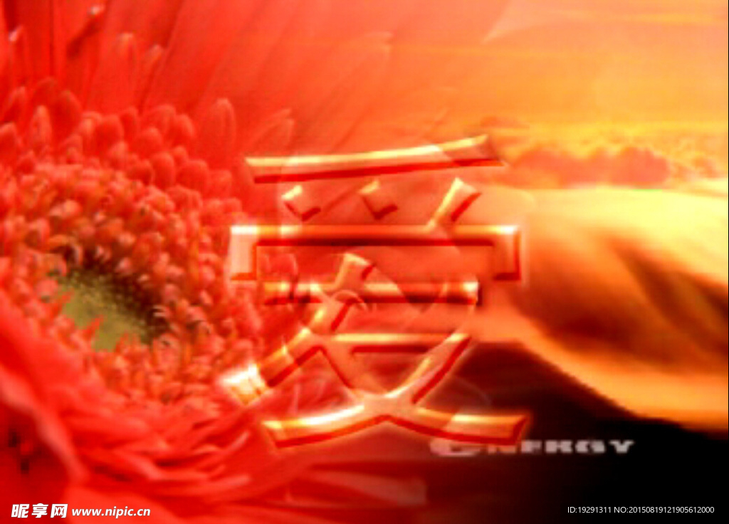 婚庆视频