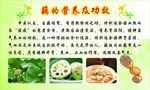 藕的营养及功效