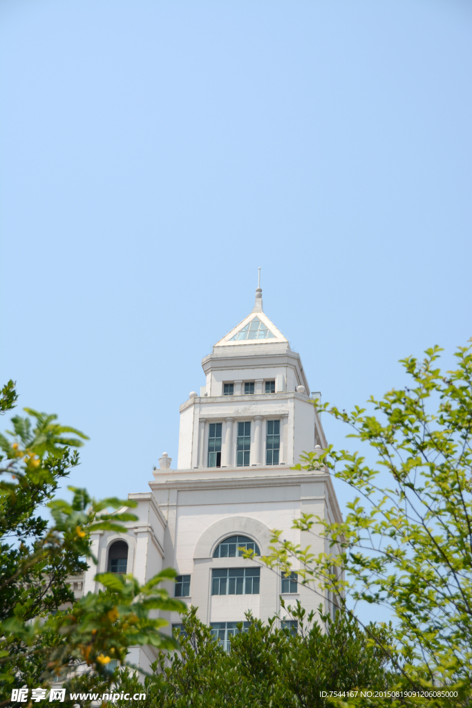室外风景特写 绿丛 尖顶
