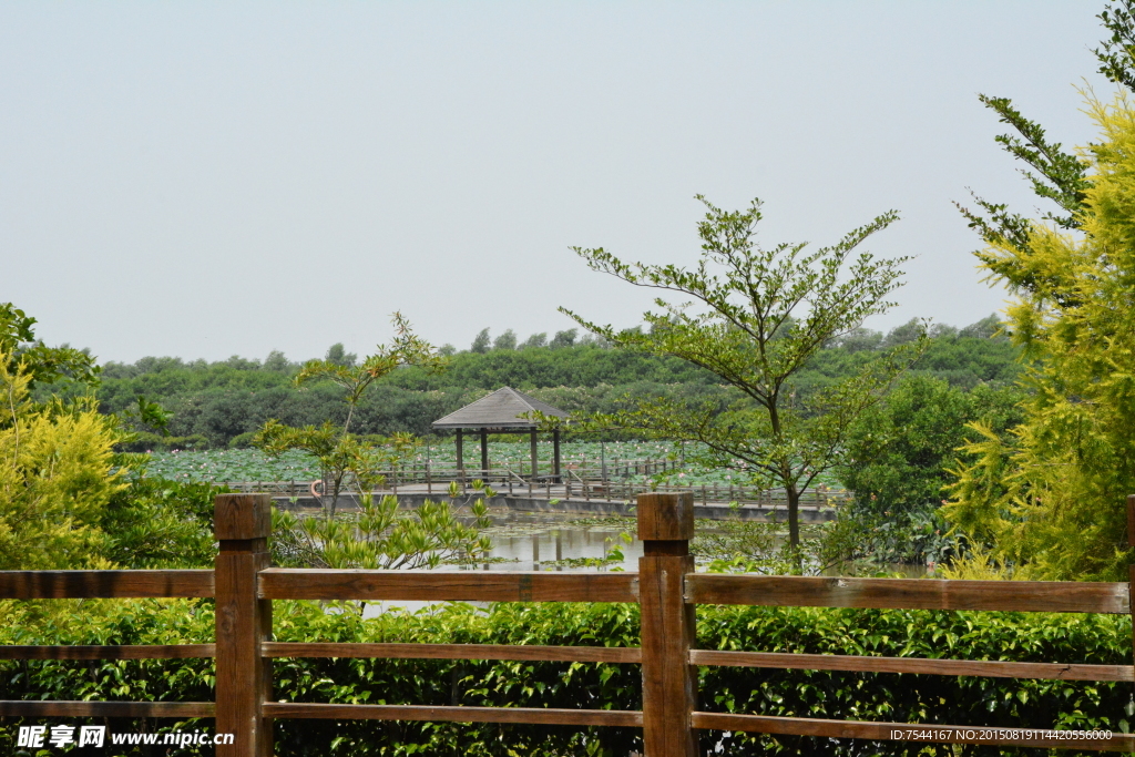 南沙湿地公园入口小景