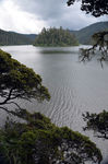 树湖