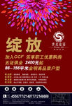 房地产绽放单页