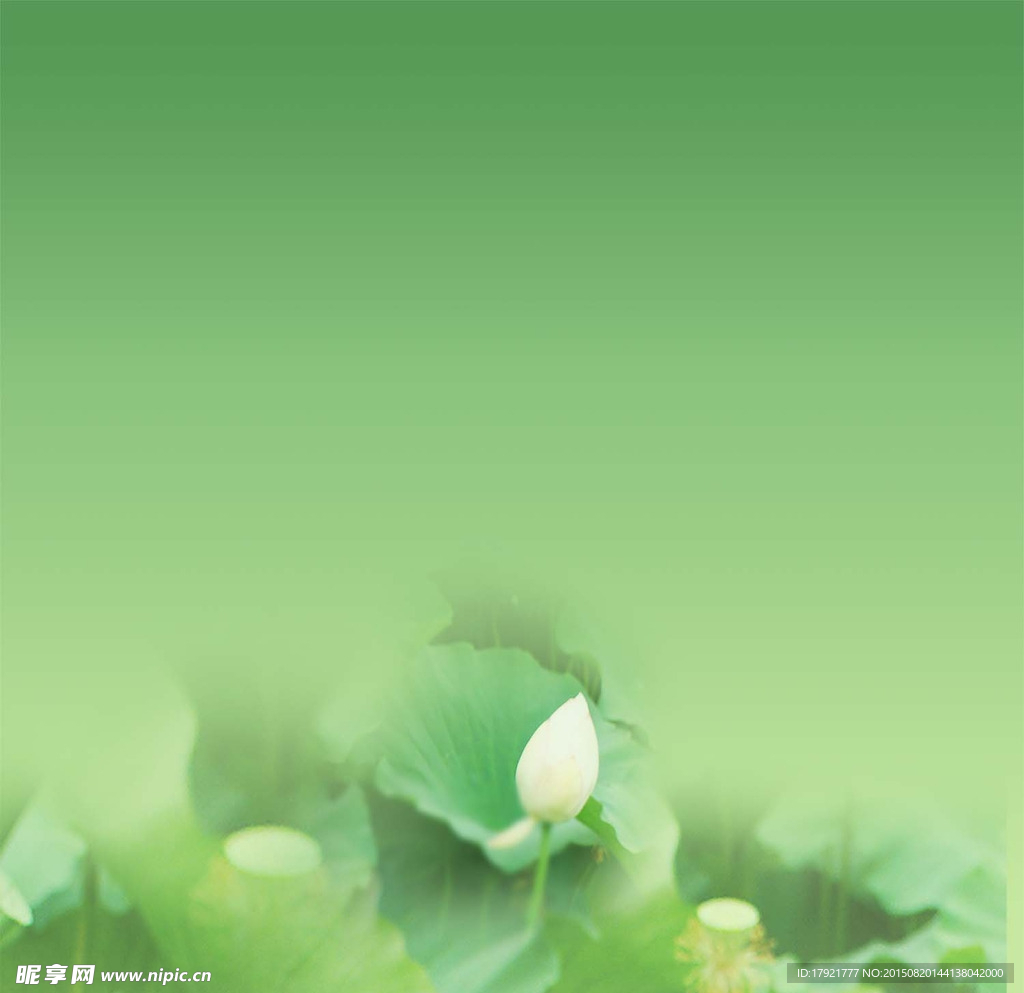 背景图
