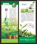 新茶上市