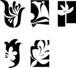 花纹