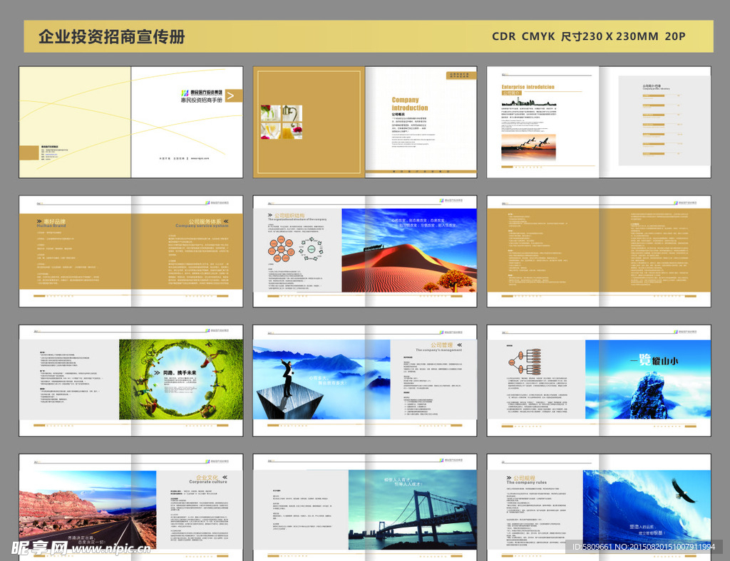 企业投资招商宣传册