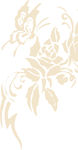 花纹