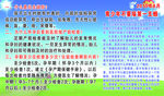 健康教育宣传栏
