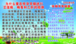 健康教育宣传栏