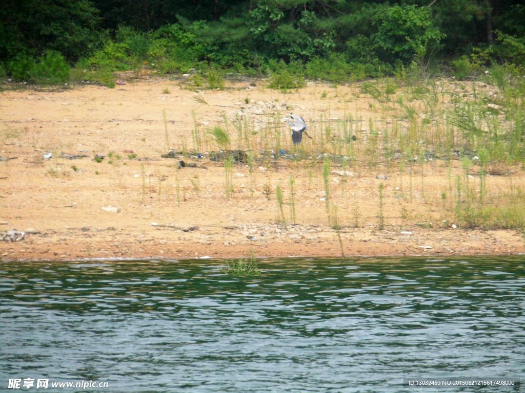 湖边